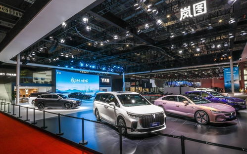 車展現(xiàn)場 東風(fēng)汽車集團攜風(fēng)神 嵐圖 猛士與全新品牌亮相